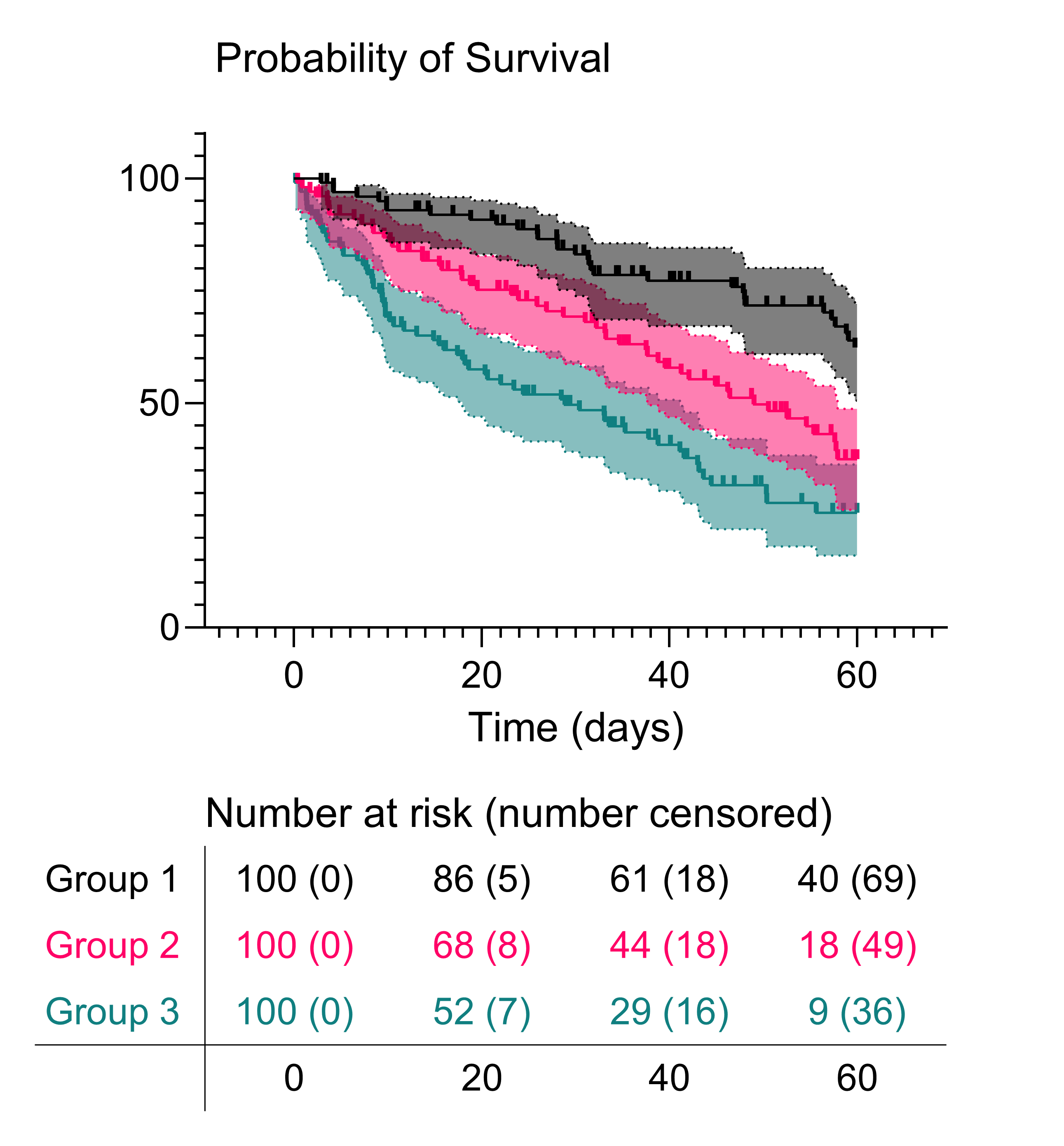 Number at Risk Table 3